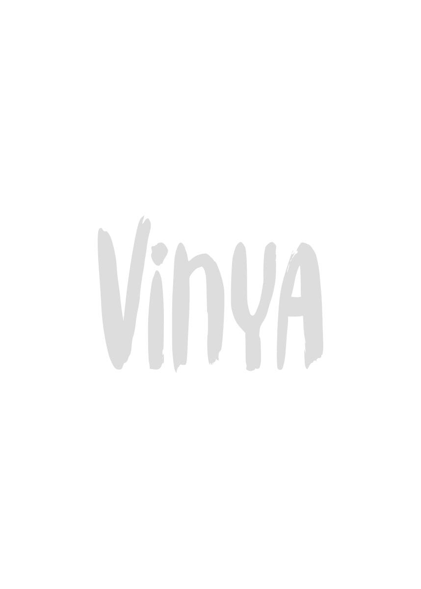 Pinot Grigio by Venica & Venica | 2020 Placeholder